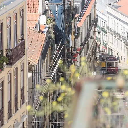 Cosy Chiado Appartamento Lisbona